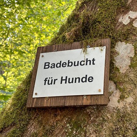 Plaetzchen Am Krebsberg Fuer Alle Fae Simmerath Buitenkant foto